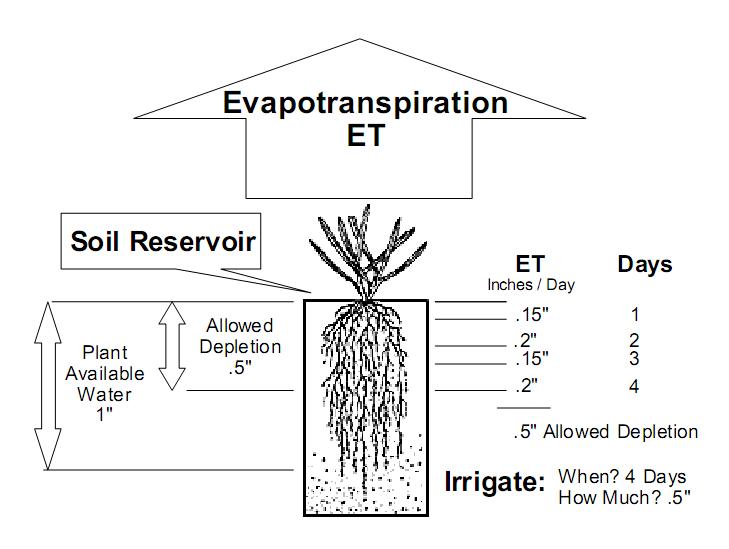 File:Irrigation based on ET.jpg